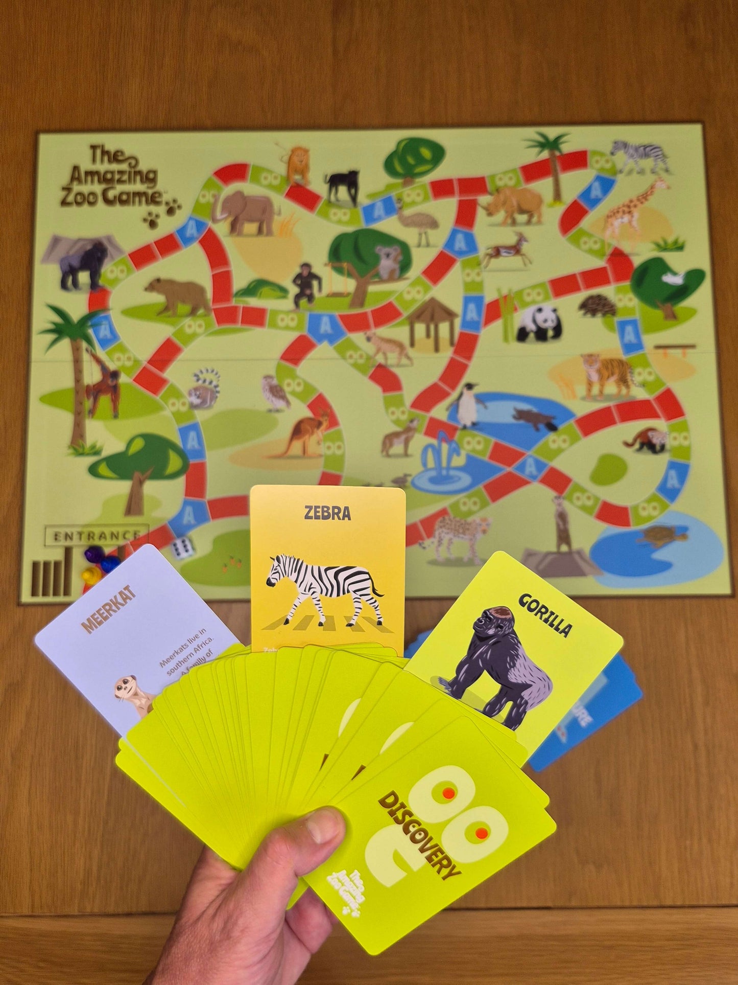 Amazing Zoo Game